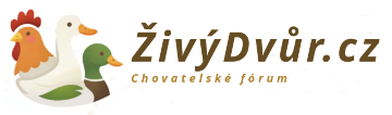 Živý dvůr